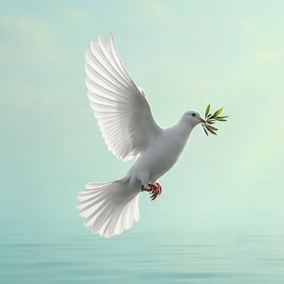 Die Spendung des Heiligen Geistes, die Versiegelung in der Neuapostolischen Kirche