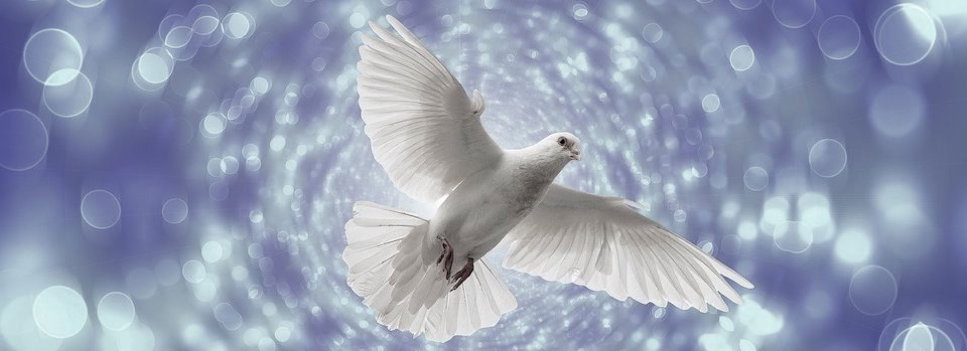 Neuapostolische Kirche - Pfingsten Stammapostel Gottesdienst